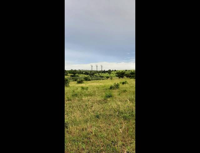 2.20HA SMALLHOLDING FOR SALE IN POLOKWANE RURAL